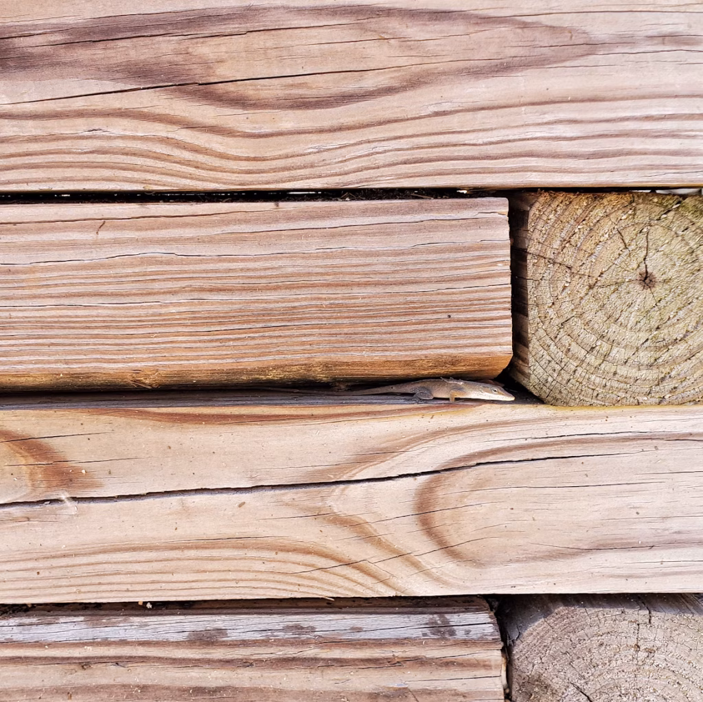 timber retaining walls gwinnett county 6 1
